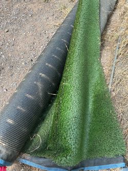 Artificial Grass