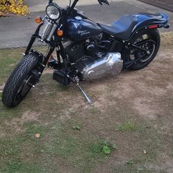 2009 Harley davidson Cross bones