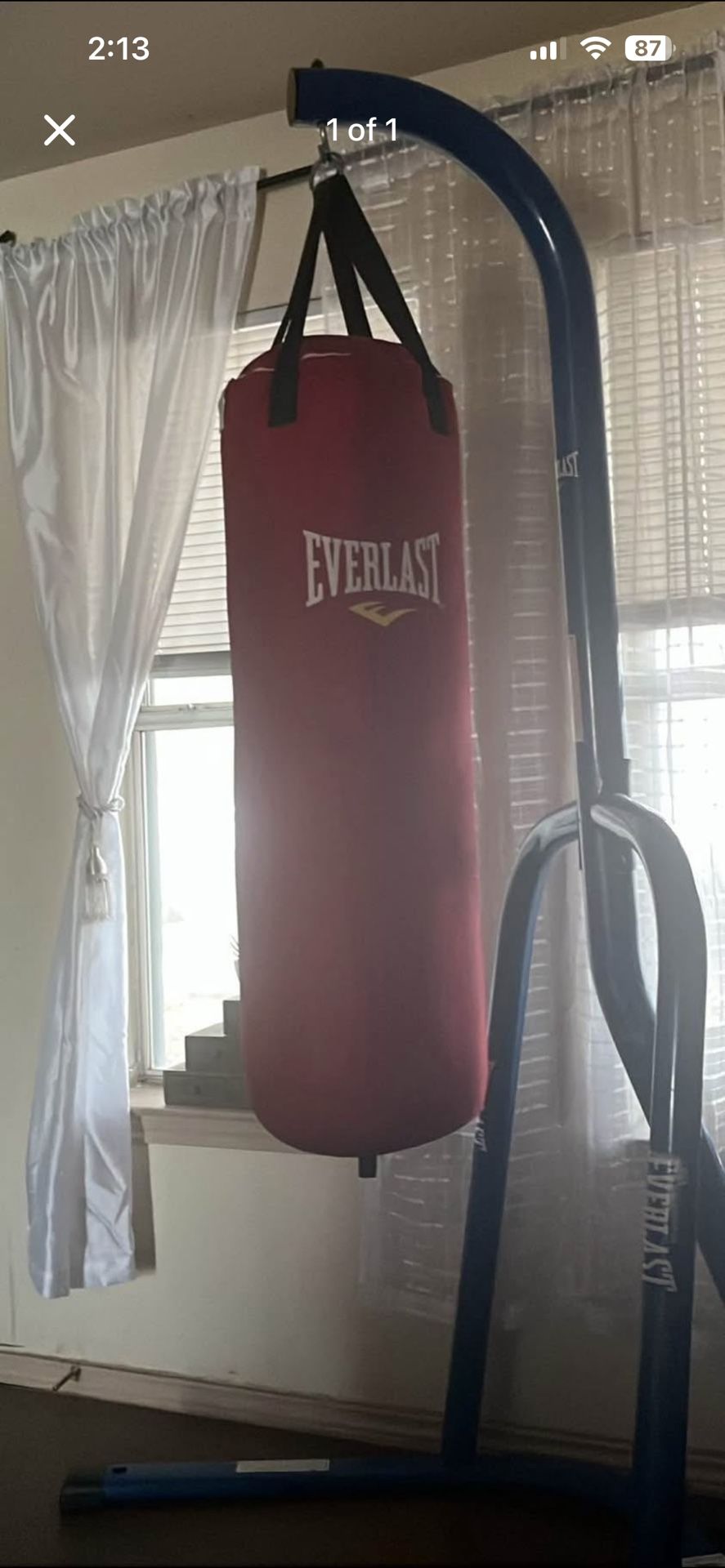 Everlast Boxing Bag