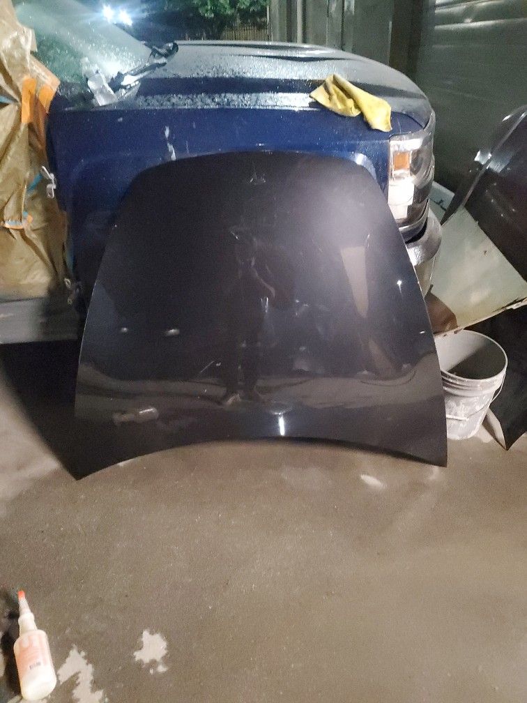 Hood For Tesla Model 3 2024 2025