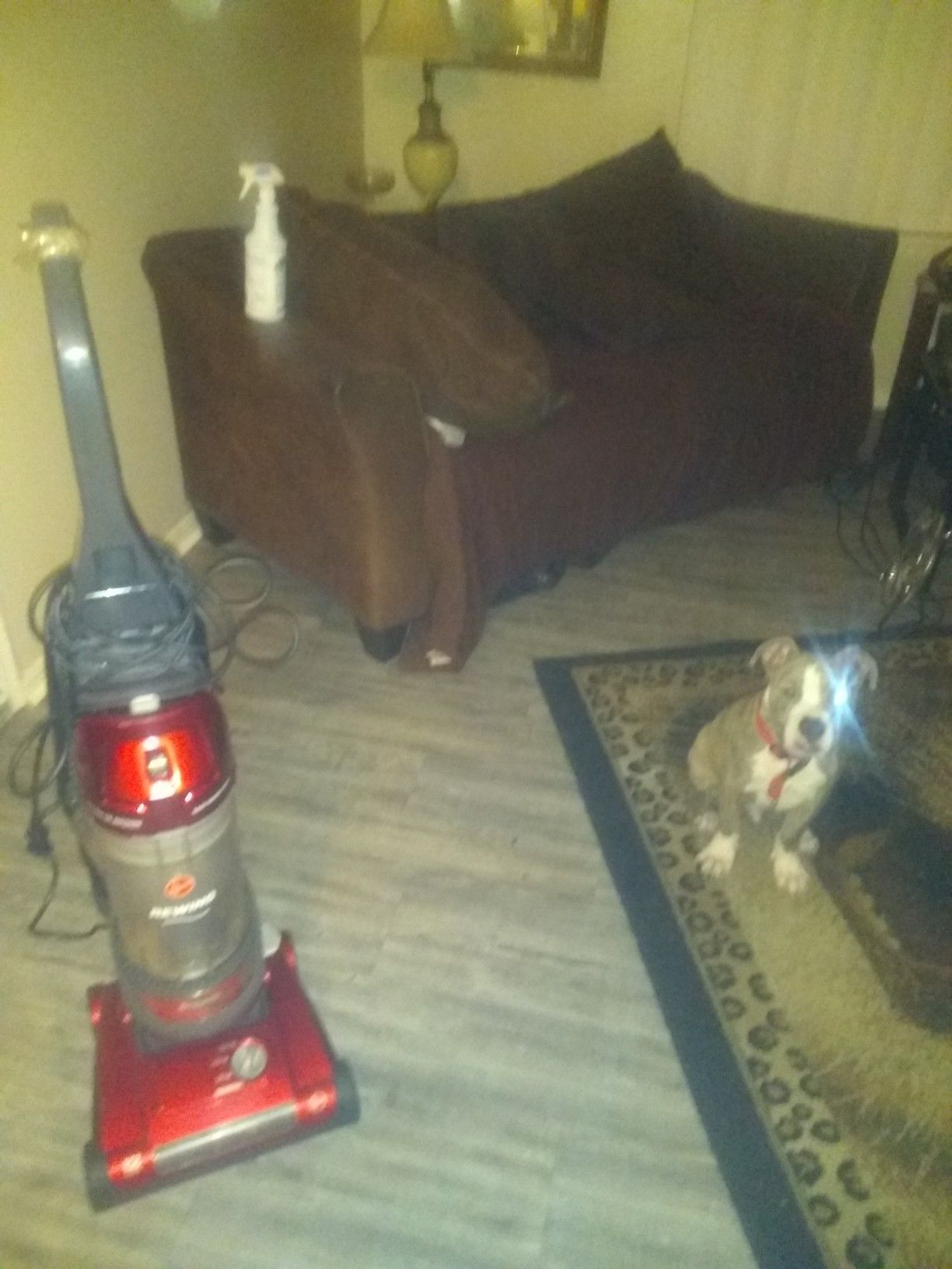 Hoover rewind vacuum cleaner