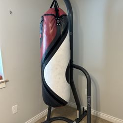 Punching Bag With Gloves