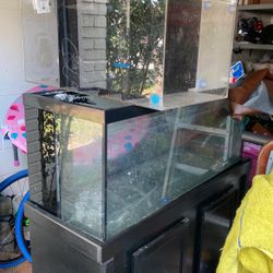 75 Gallon Fish Tank