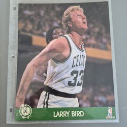 Larry Bird Picture 
