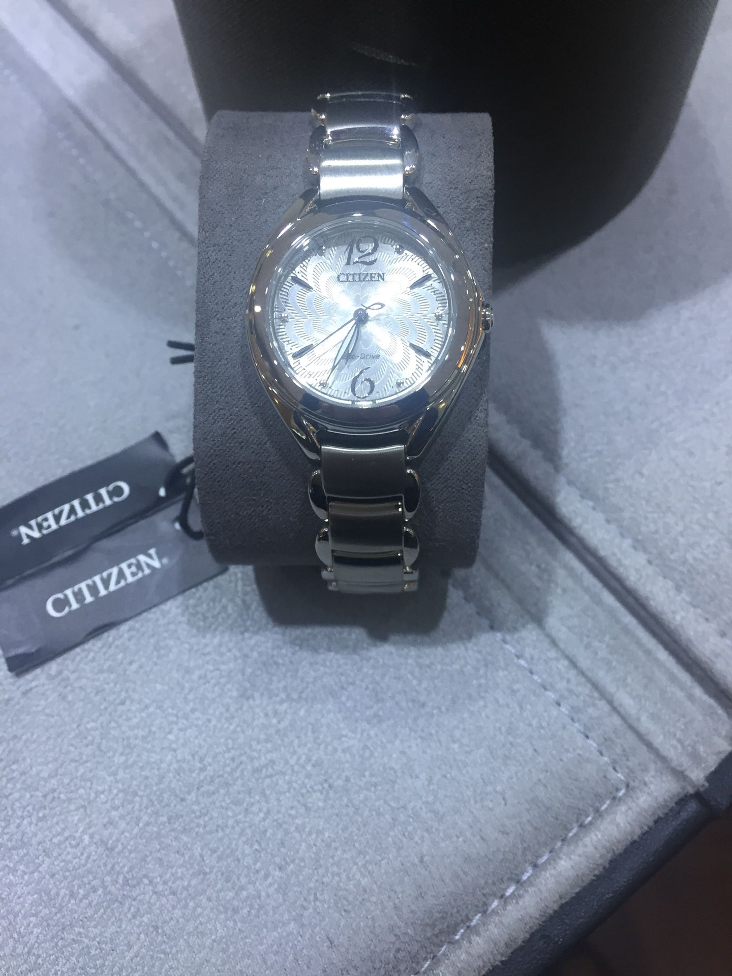 Citizen Eco Drive Ladies Watch