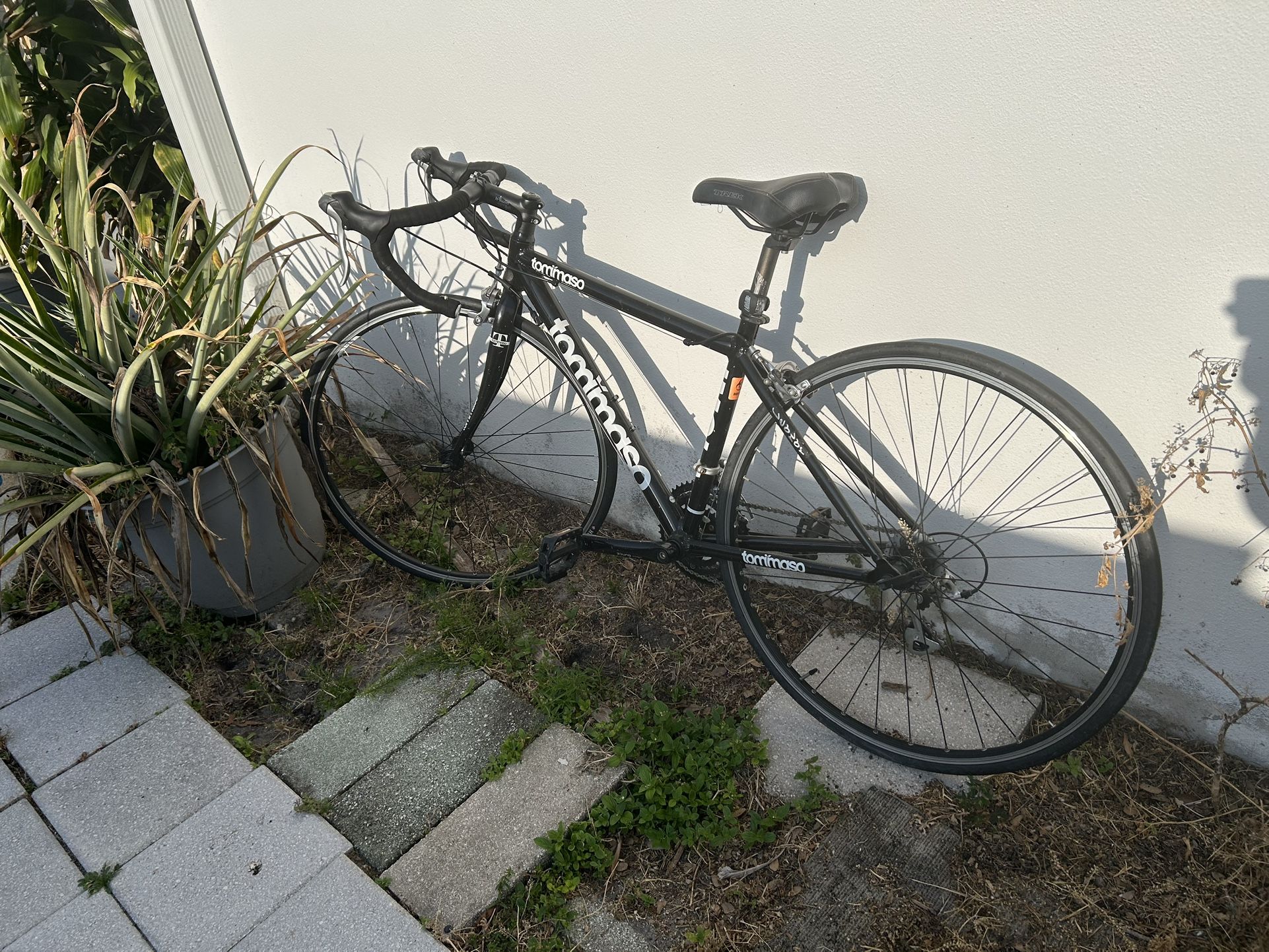 Tommaso Triathlon Bike