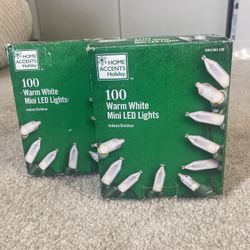 2X 100 Warm White LED Lights