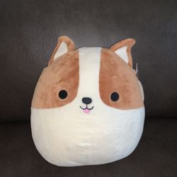 10” Reginald the Corgi Squishmallow (New with Tags) 