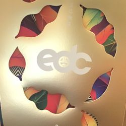 EDC LAS VEGAS 2021 VIP TICKET