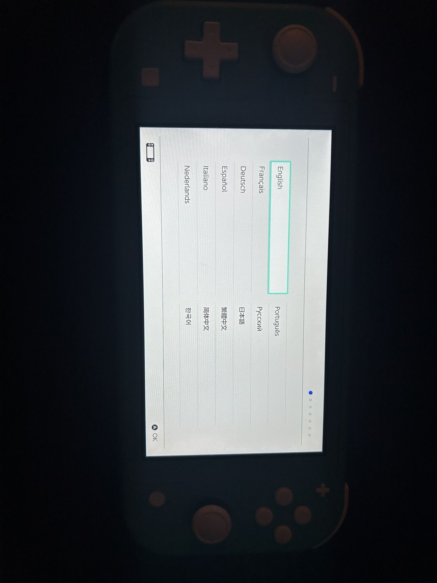 Nintendo Switch Lite