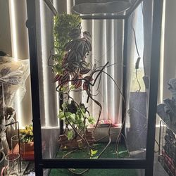 Reptile Enclosure for sale