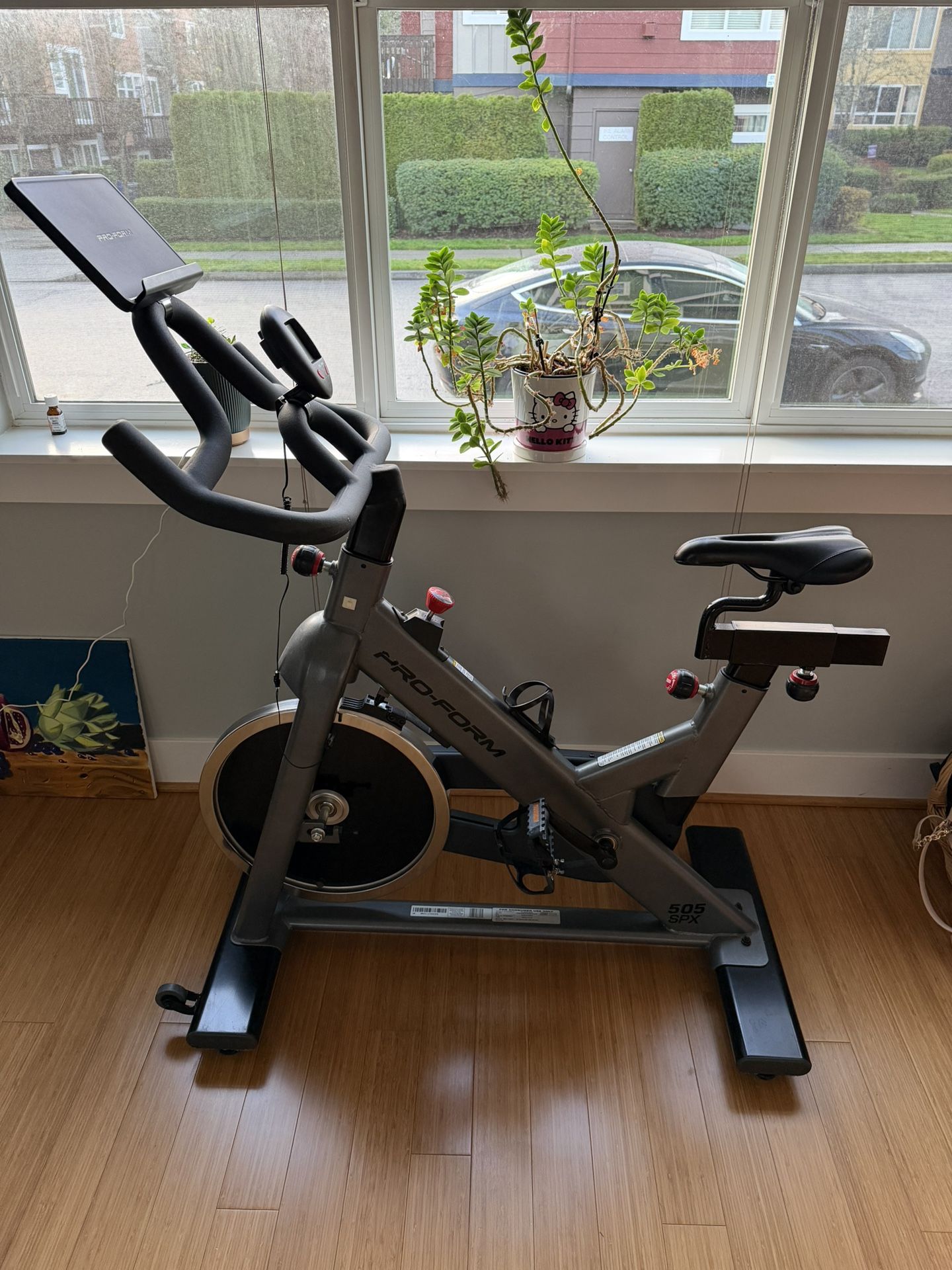 Proform Indoor Bicycle 