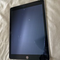 iPad 