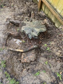 I Need Someone To Remove And Dispose Of This Stump
