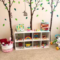 Ikea Kallax Shelf 