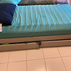 Twin Mattresses almost New with Beds $100