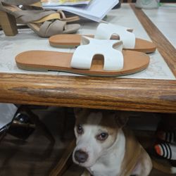 Flip FLOPS