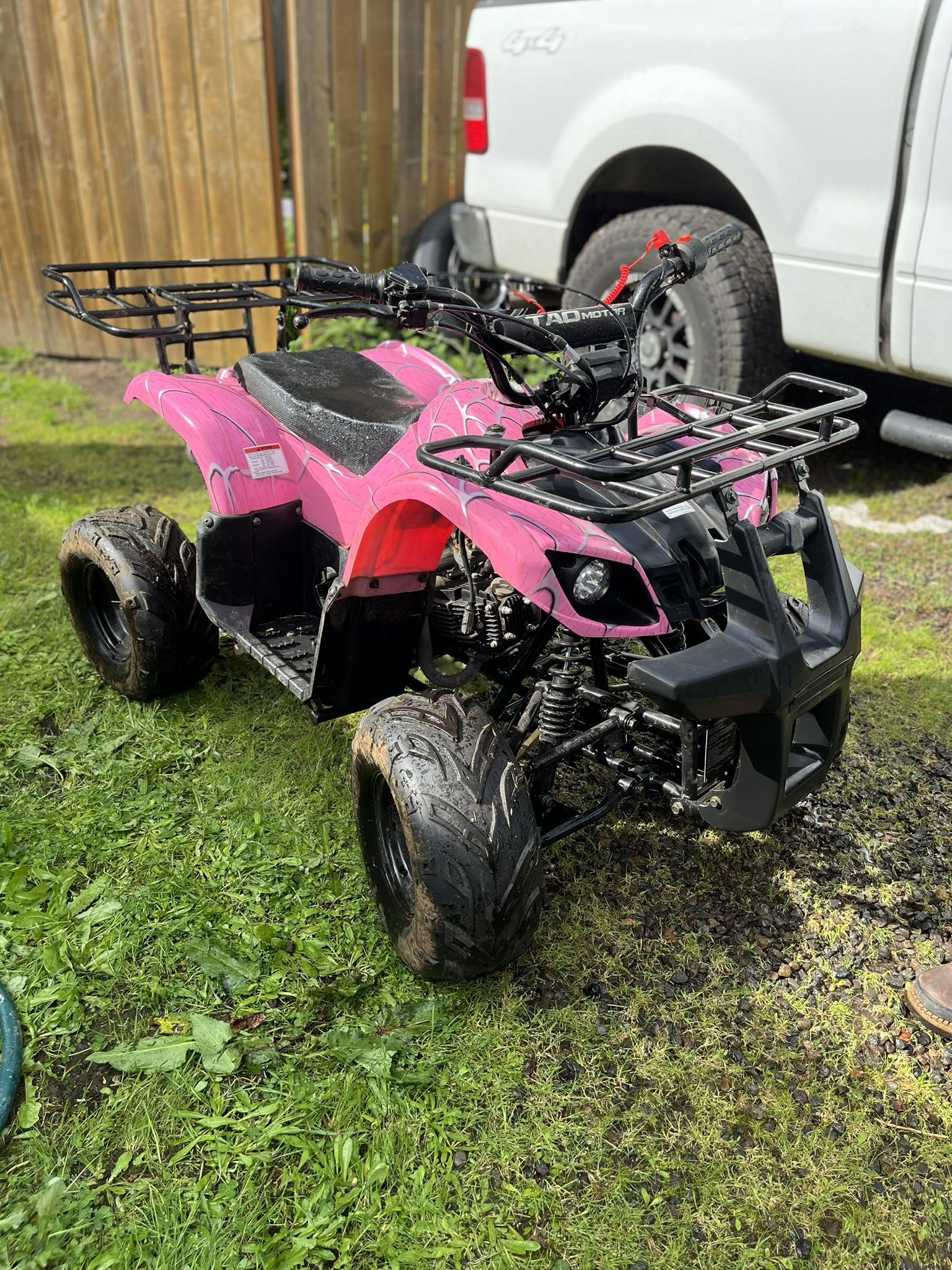 Tao 125