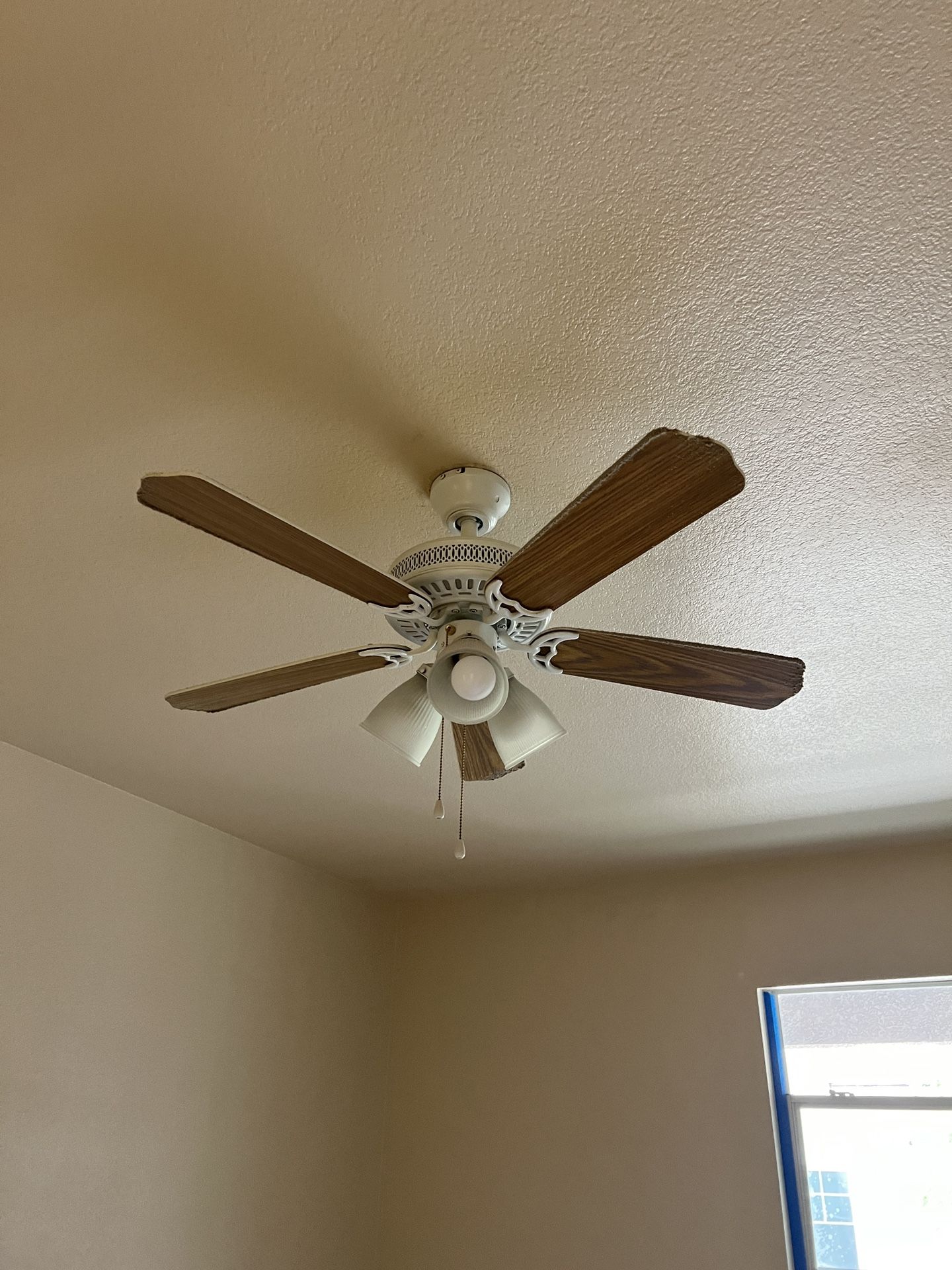 Ceiling Fans