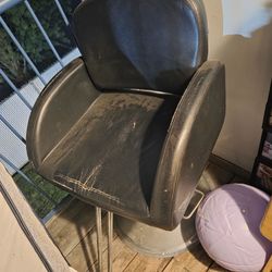 Salon Chair