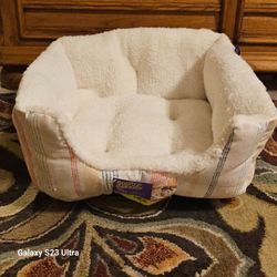 $20  FIRM  BRAND NEW  BOOTS & BARKLEY PET BED