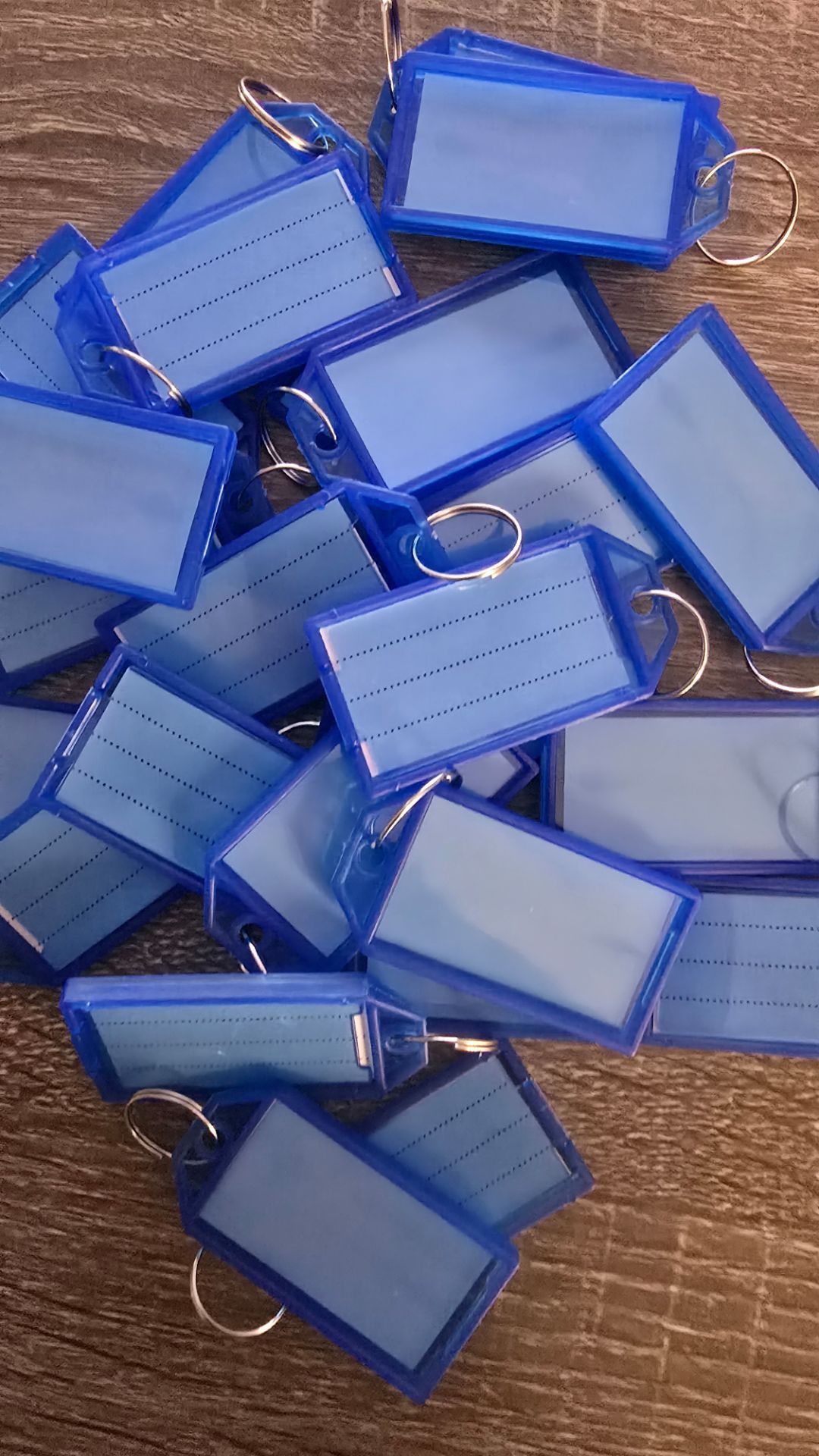 Plastic Key Tags w/ Labels & Rings – 53 Total (Blue & White)