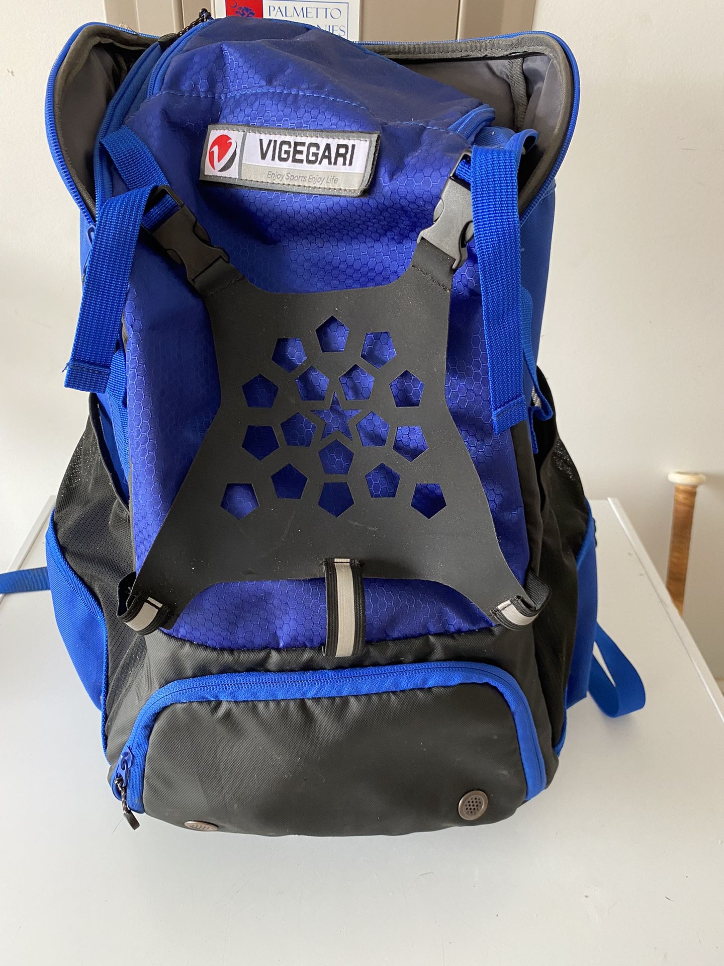 Baseball Bag 