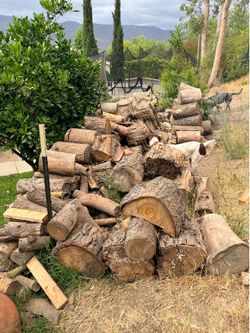 Free Wood - Pine, Eucalyptus, Pepper