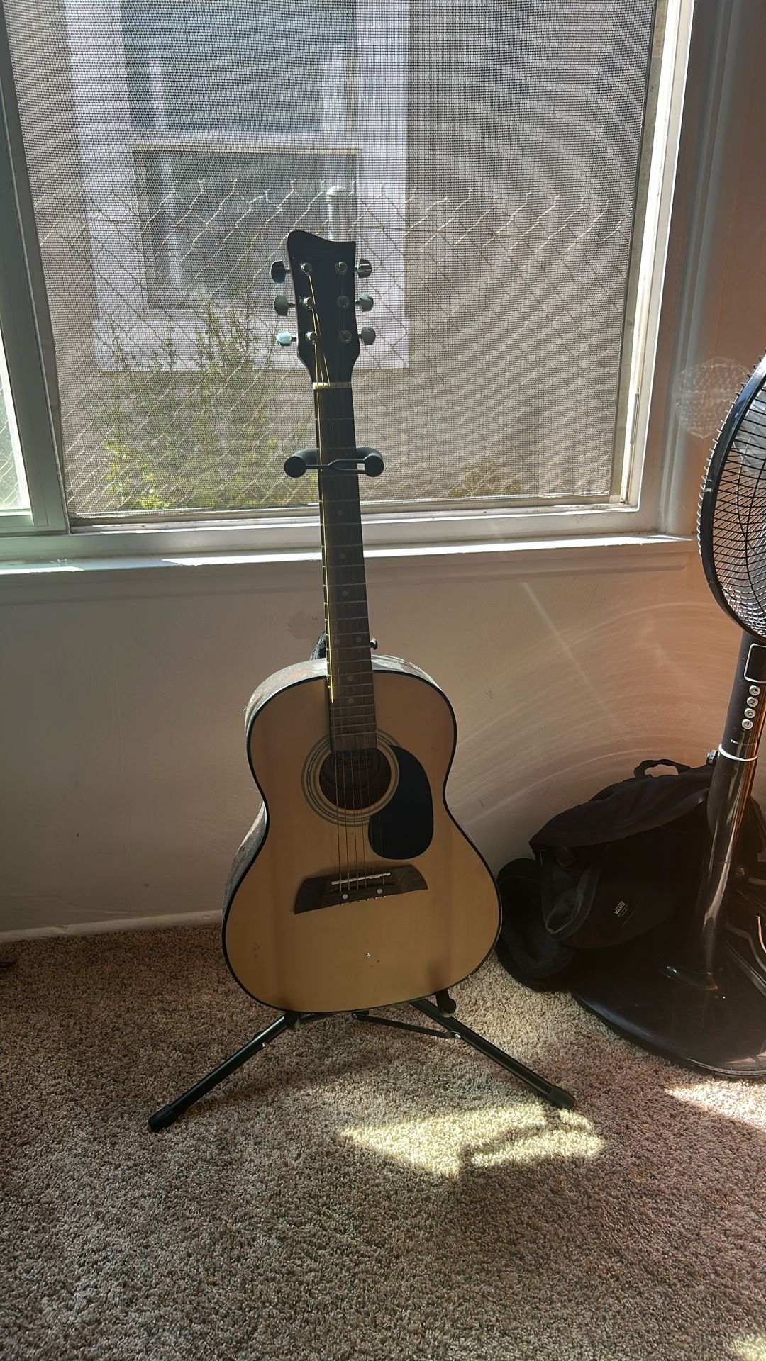 acoustic Guitar