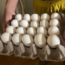 Huevos Doble Llema Jumbo 5 Tapas De 20 Huevos Por $40