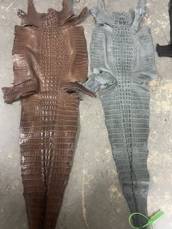 Gray and brown hornback alligator skins for sale