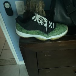 Jordan 11 Snake