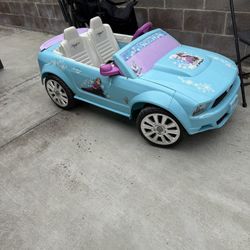 Frozen Mustang