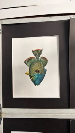 Fish
