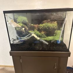 50 Gallon Aquarium Complete Set