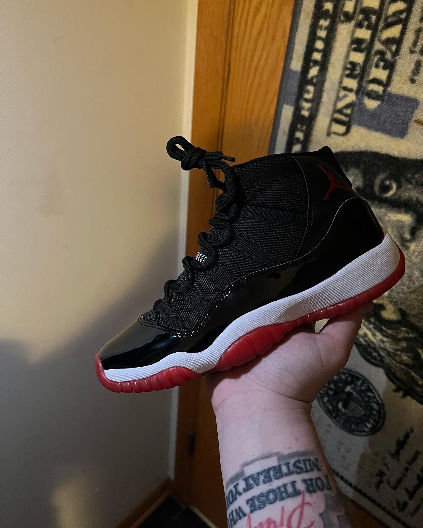 Jordan Retro 11 Breds (2019)