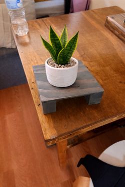 Small Plant Holder