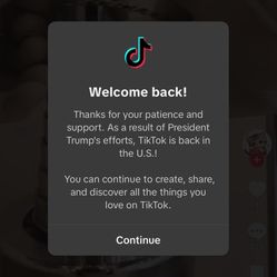 iPhone 13 Pro Max With TikTok 