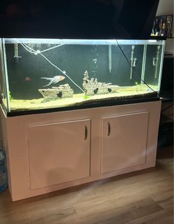 Fish Tank 120 Gallons