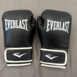 Everlast Boxing Gloves