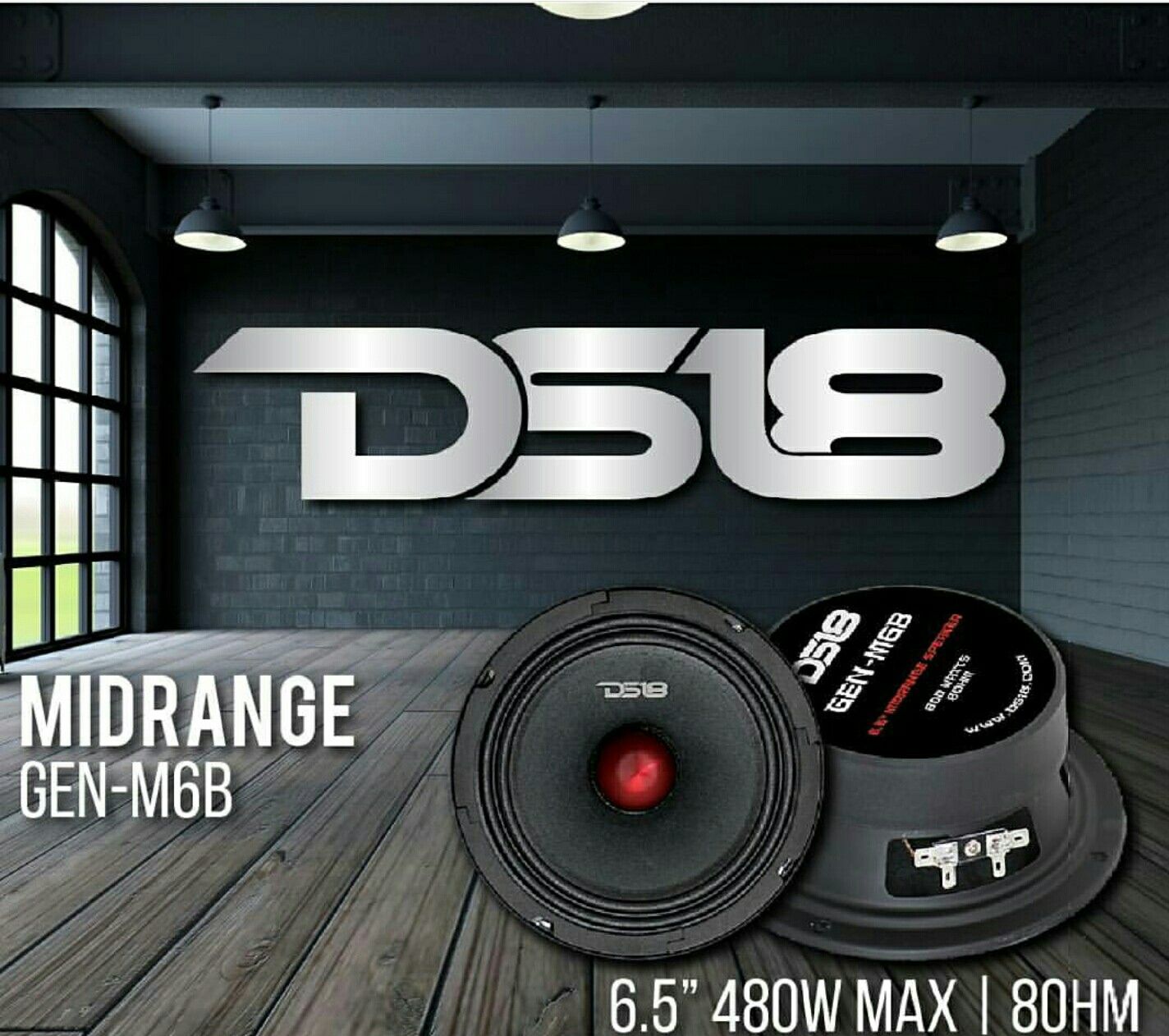 Ds18 bullet loud speakers 6" and 8"