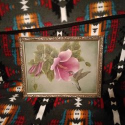 Humming Bird Picture 