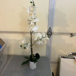 Fake Desk Plant Approx 32in Tall