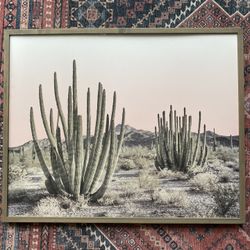 prickly pear cactus powder Cerise Prickly Pear Powder