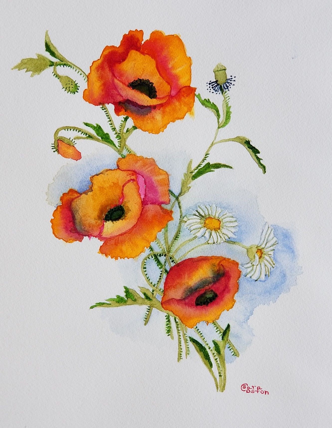 Poppies, Watercolors, Orange, 12" X 16"