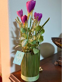 Small Plant Decorations