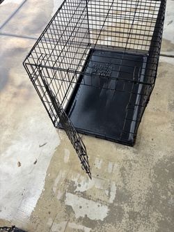Crate large