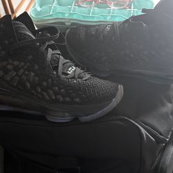 LeBron 17s