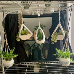 Set of 5 small plants artificial