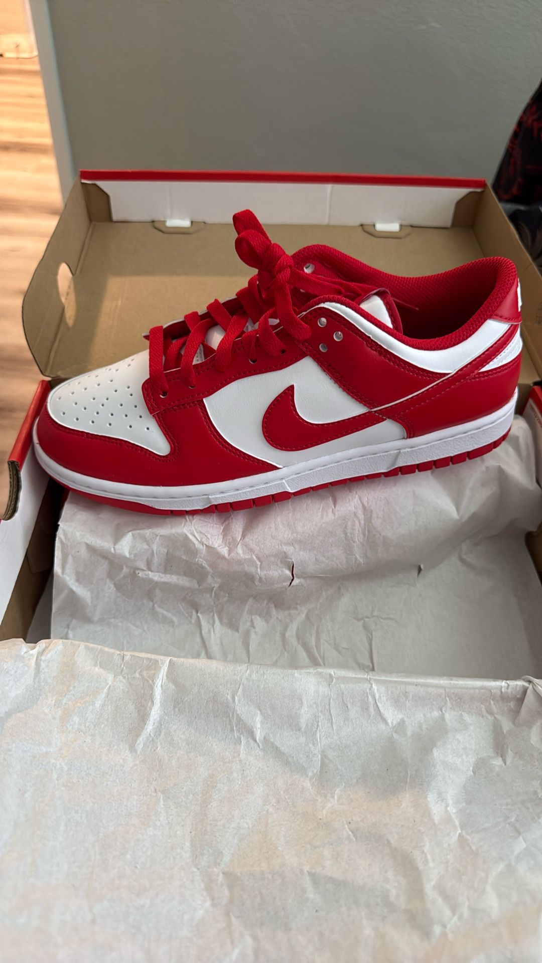 Nike Dunk low Retro